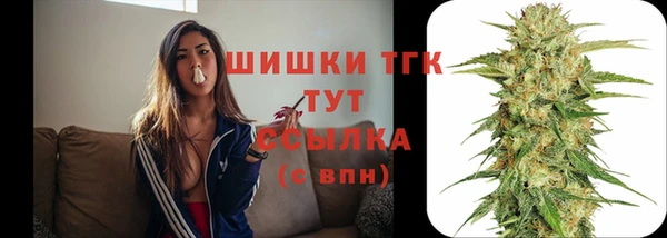 прущие грибы Верхнеуральск