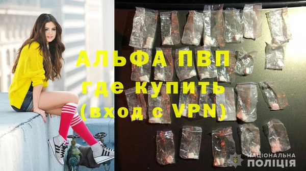прущие грибы Верхнеуральск