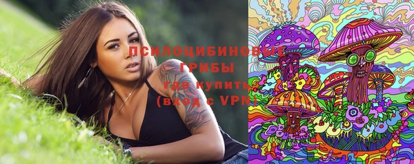 прущие грибы Верхнеуральск