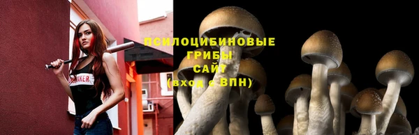 метадон Верея