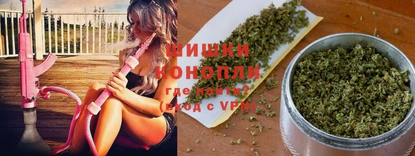 прущие грибы Верхнеуральск