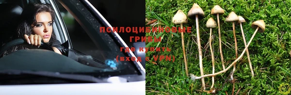 прущие грибы Верхнеуральск