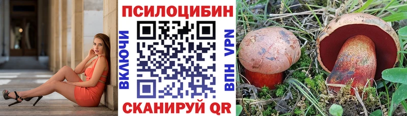 Псилоцибиновые грибы Psilocybe  закладка  Новосокольники 