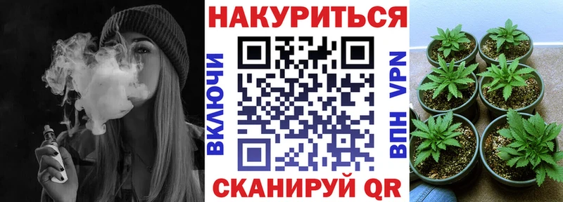 Бошки марихуана Amnesia  Новосокольники 